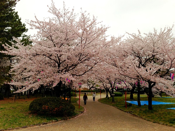 toyohashi-half_20130331_01_edited