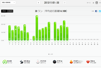 GARMIN_20131120_02