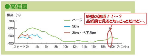 nakagawa_kouteizu_01