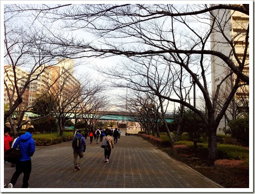 tokyo30k_fuyu_20140125_3757