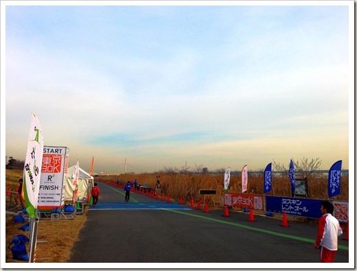 tokyo30k_fuyu_20140125_3801