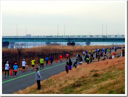 tokyo30k_fuyu_20140125_3812