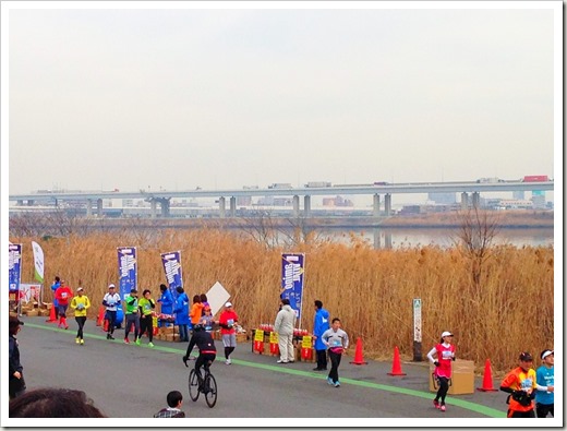 tokyo30k_fuyu_20140125_3813