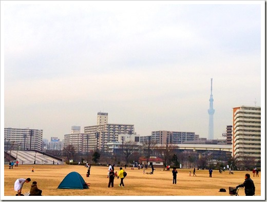 tokyo30k_fuyu_20140125_3825