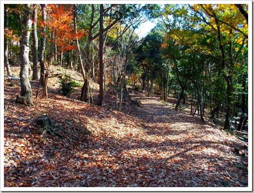 yatsuomoteyama_20131220_ 025