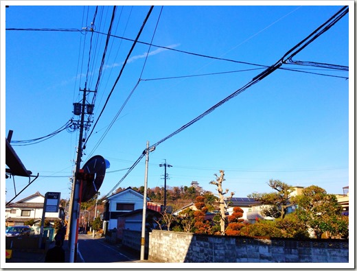 inuyama_20140222_233218356_iOS