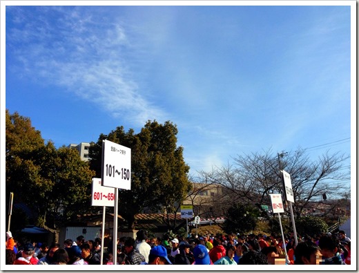 inuyama_20140223_003506107_iOS