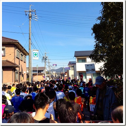 inuyama_20140223_003939271_iOS