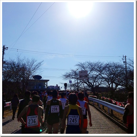 inuyama_20140223_004004614_iOS