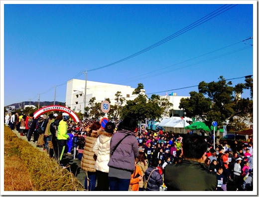 mikawawan_20140209_004052145_iOS