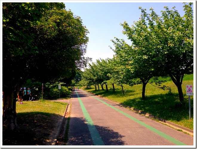 庄内緑地公園・ランニングコース