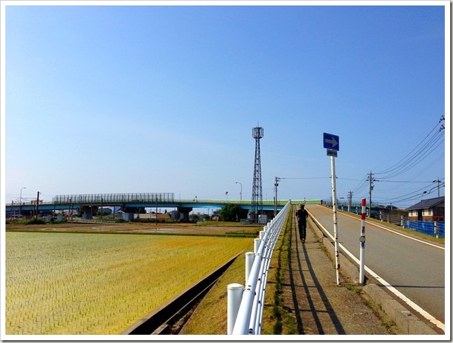 第31回カーター記念 黒部名水マラソン・大会前日