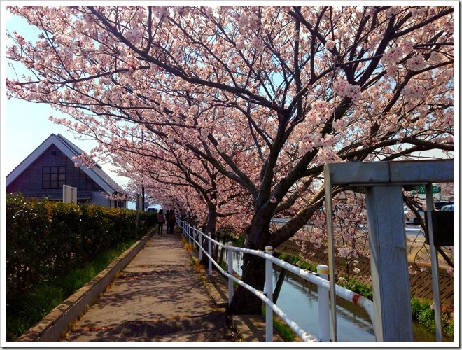 愛知県西尾市・憩いの農園