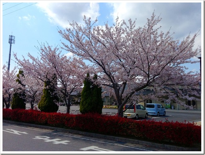 愛知県西尾市・憩いの農園