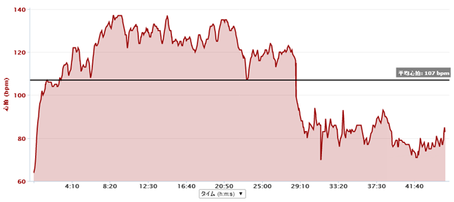 GARMIN_20140619_02