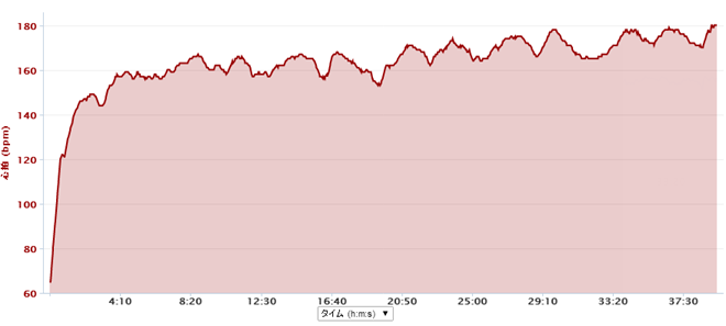 GARMIN_20140629_03