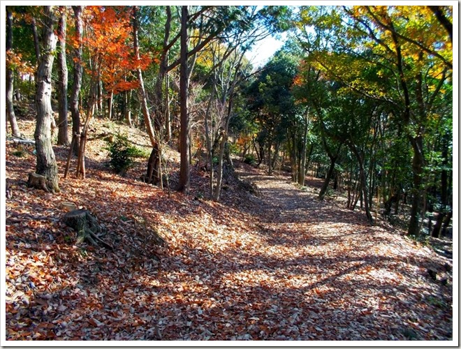 yatsuomoteyama_20131220_ 025