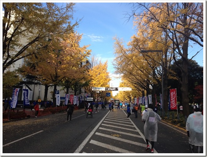 yokohama_marathon_20121201_235553626_iOS