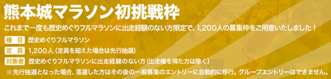 kumamotojo_marathon_20140801_02