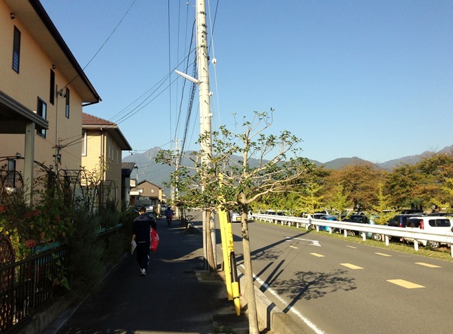 鈴鹿山麓かもしかハーフマラソン画像