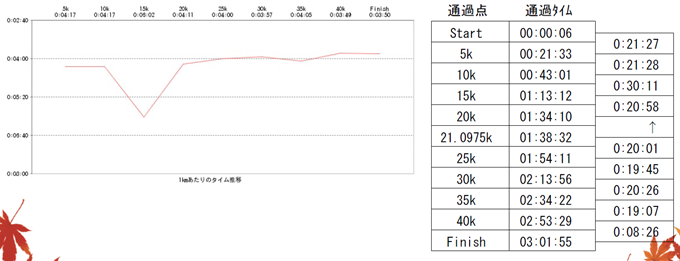 ibigawa_marathon_20141115_02