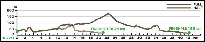 千歳JAL国際マラソン2015 コース高低図