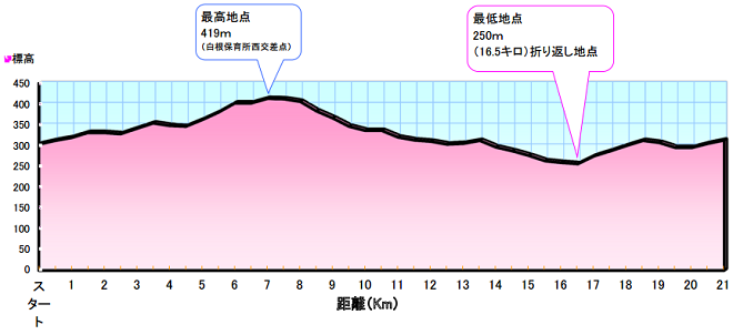 南アルプス桃源郷マラソン コースマップ