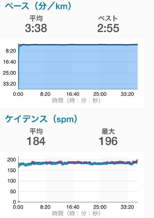 第31回三河湾健康マラソンのランニングダイナミクス