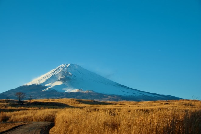 富士山の写真