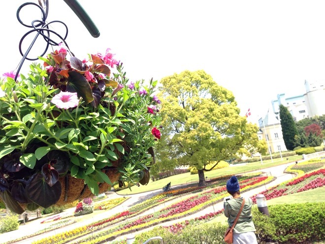 安城市デンパーク 園内の風景