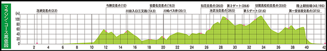 2015おきなわマラソン コース高低図