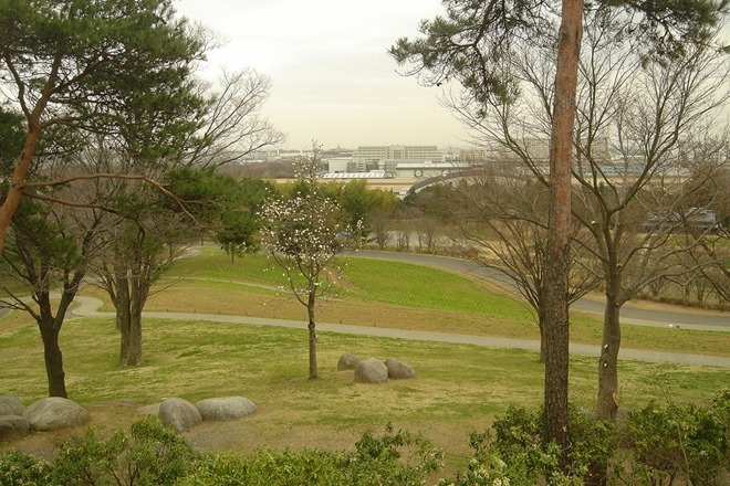 昭和記念公園こもれびの里