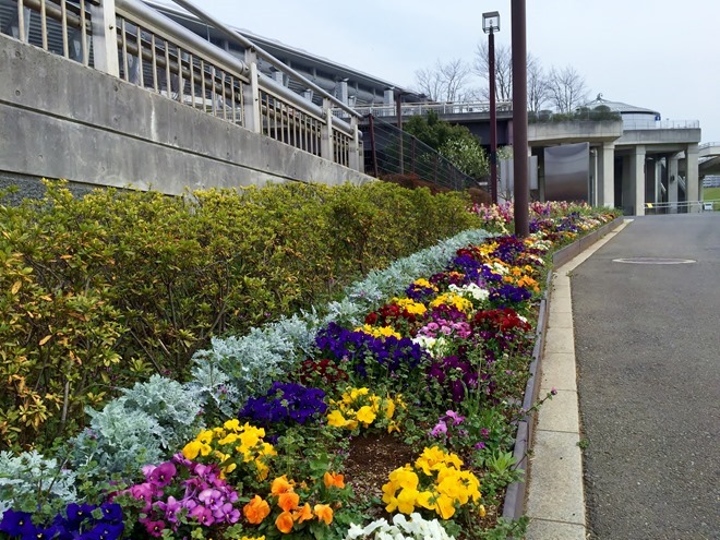 日産スタジアム・新横浜公園の写真