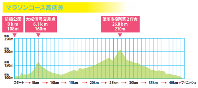 前橋・渋川シティマラソン 高低図