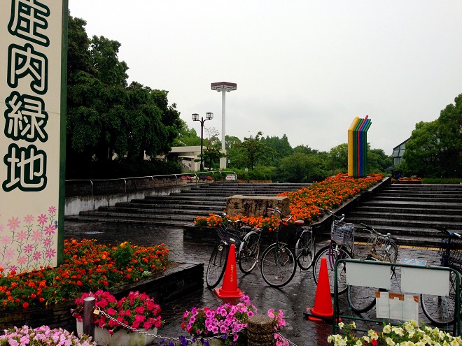 庄内緑地公園 画像