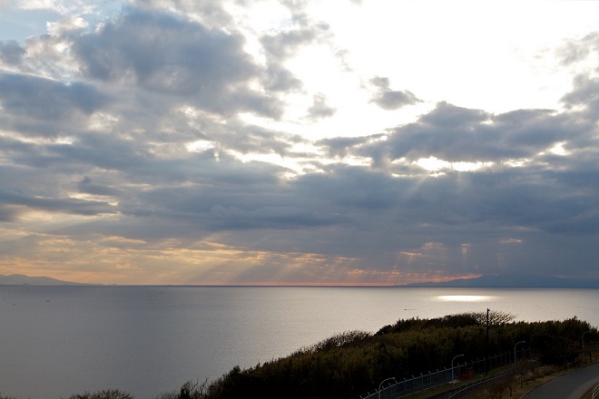 三浦半島 ソレイユの丘