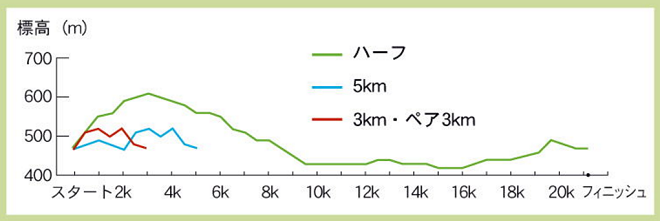 信州なかがわハーフマラソン コース高低図