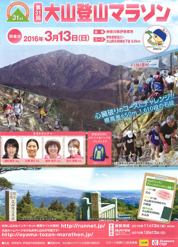 大山登山マラソン画像