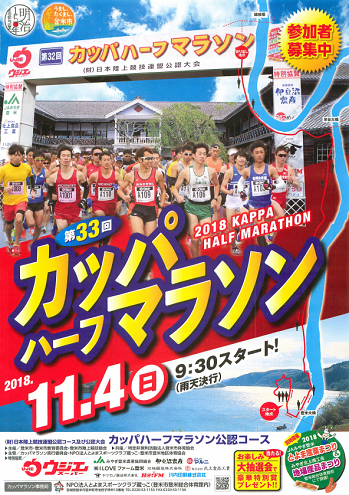 カッパハーフマラソン2018画像