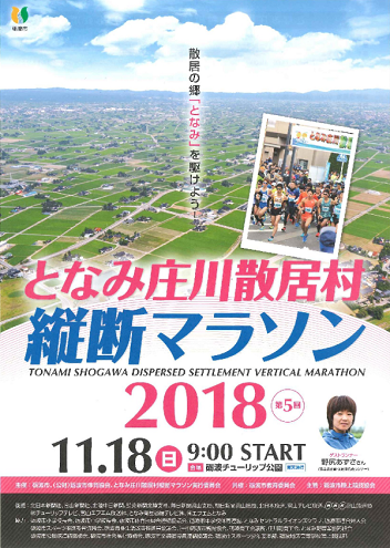 となみ庄川散居村縦断マラソン2018画像