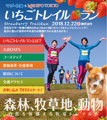 いちごトレイルラン2018画像