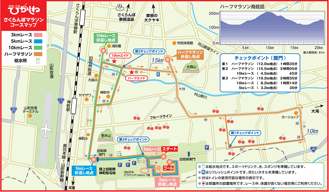 果樹王国ひがしねさくらんぼマラソン大会2019コースマップ