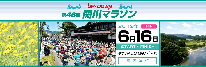 関川マラソン2019画像