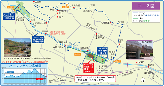 はだの丹沢水無川マラソン2019コースマップ